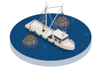 Nuôi trồng & khai thác thủy sản