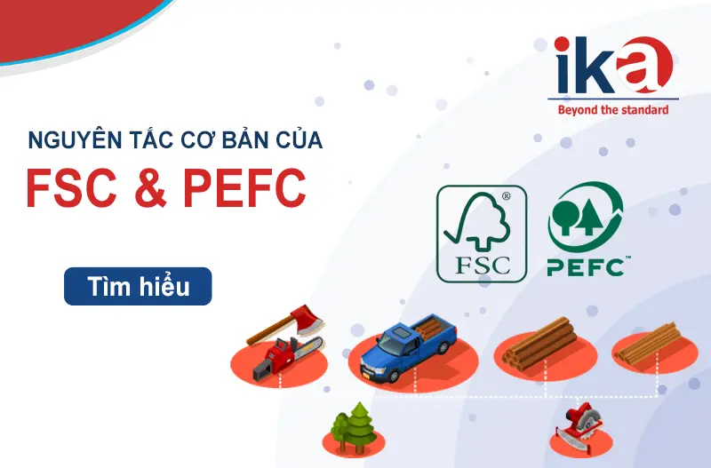 Khác nhau về nguyên tắc cơ bản