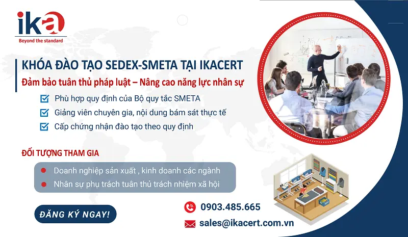 khóa đào tạo sedex-smeta